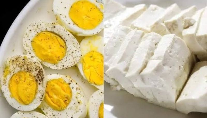 egg or paneer which is a better source of protein