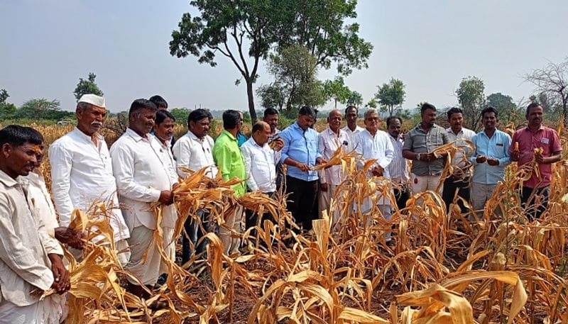 Government of Karnataka not Responding to Drought Compensation Says Hanamant Mavinamarad grg  