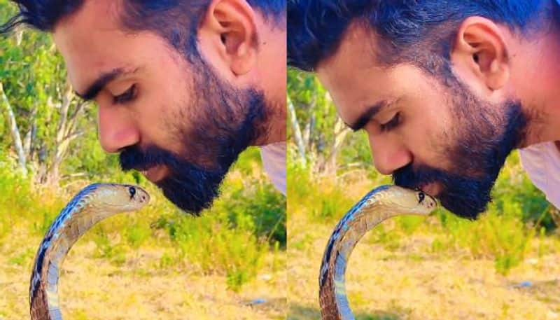 man kissing snakes head rlp