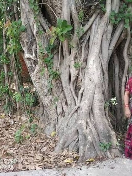 <p>आईएएस आईपीएस के अलावा भी इस गांव में बड़े-बड़े पदों पर काम करने वाले अधिकारी मौजूद हैं।</p>

