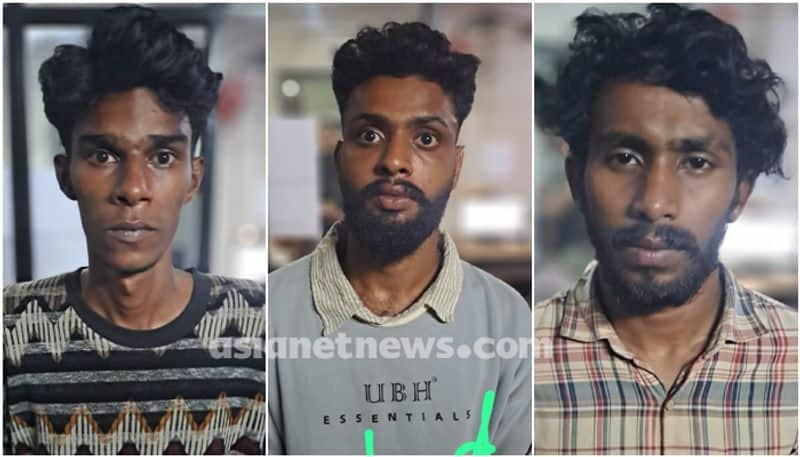 3 people arrested In malappuram for assaulting a youth and moral policing apn 