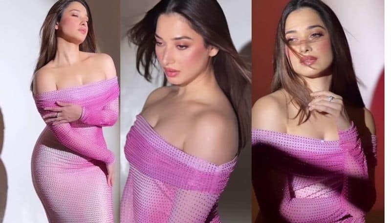 Tamannaah Bhatia Web Series