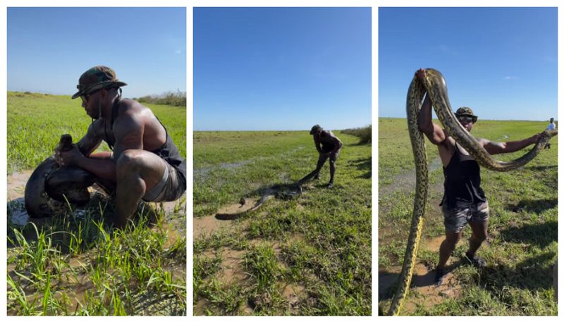 video of a young man catching an anaconda with his bare hands has gone viral bkg 