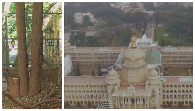 sandalwood tree stolen near Vidhana Soudha nbn