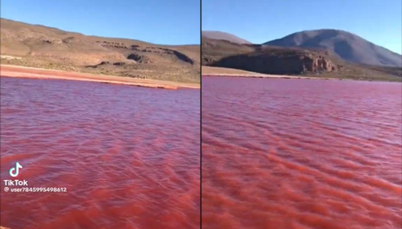 viral video shows that the Nile River recently turned red is not true jje 