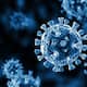 What is JN.1 variant of coronavirus