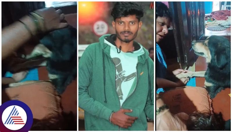 bike rider death by accident dog apologized to housemates after death in Davanagere  gow