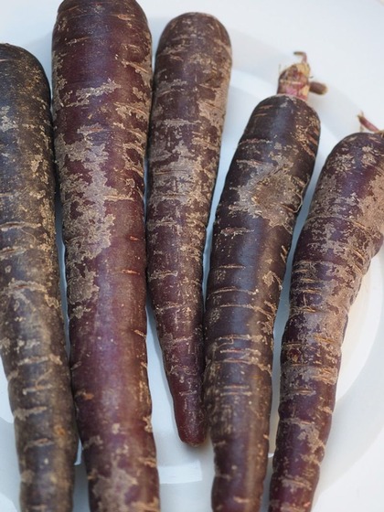 Purple Carrot