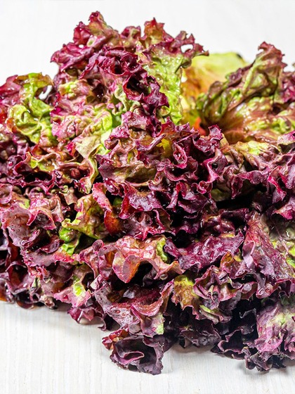 Purple Lettuce