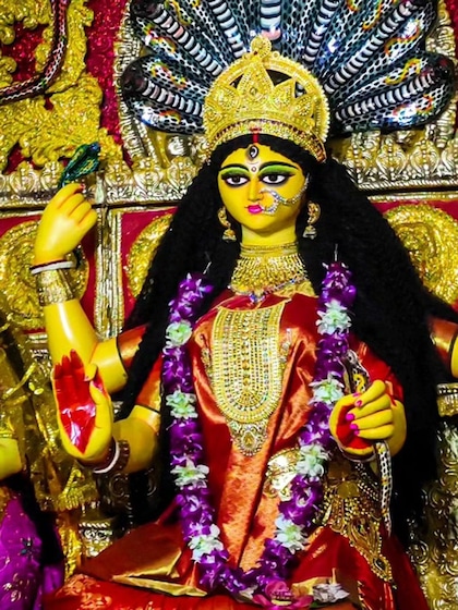 Jagadhatri Puja Celebrations