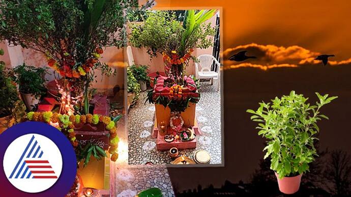 Asianet Image