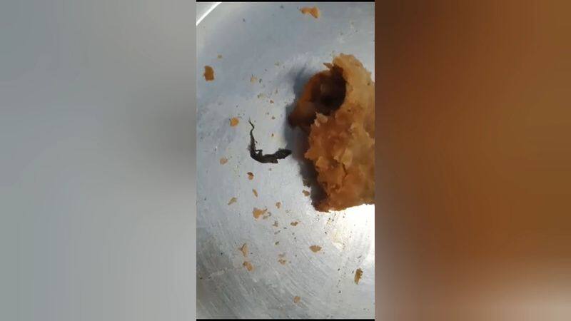 A dead lizard found in a store-bought samosa in the Nilgiris has created a sensation vel