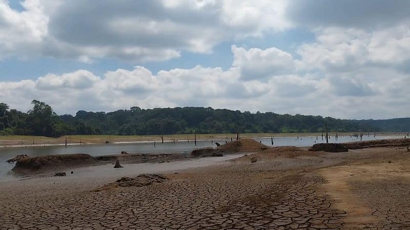 Kodagu News Chiklihole Reservoir dried up four months Before Summer gvd