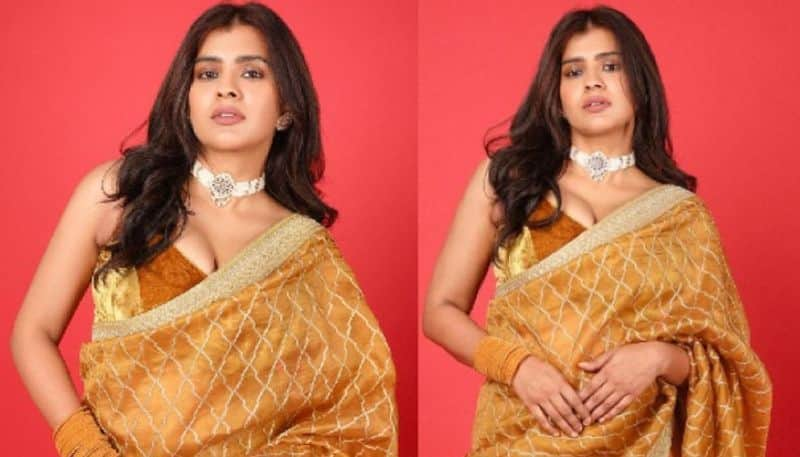 Hebah Patel mesmerizing with her beautiful Saree NSK