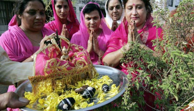 Tulsi Vivah 2023: Know date, history, significance of Tulasi Kalyanam anr