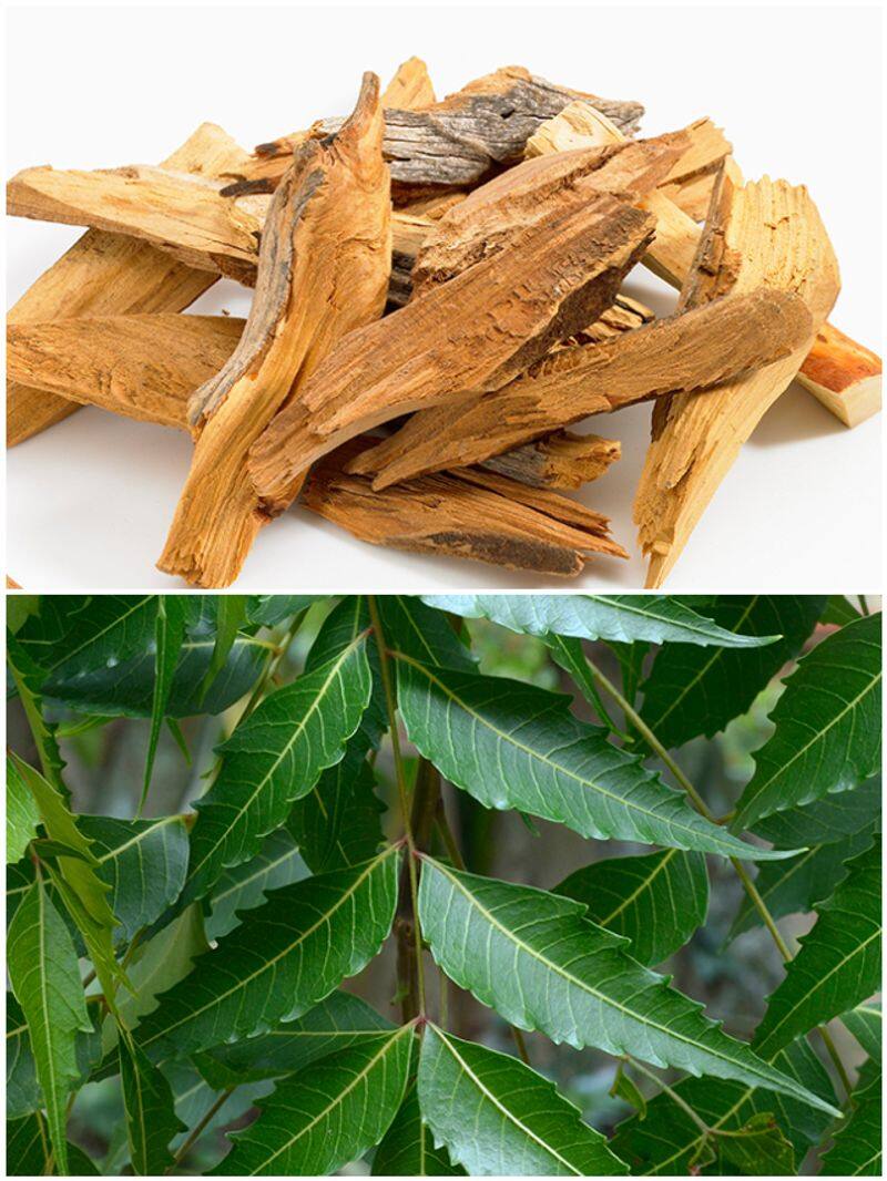 Neem to Sandalwood: 7 ayurvedic herbs to boost skin health SHG