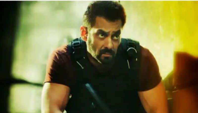 Salman Khan starrer film collection report out Tiger 3 crosses 400 crore hrk