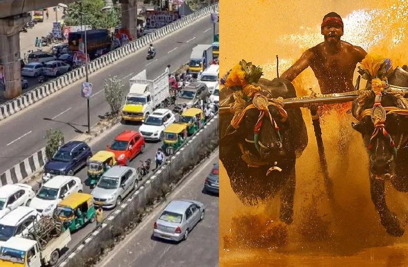 Bengaluru Kambala starts today; Traffic and parking updates vkp