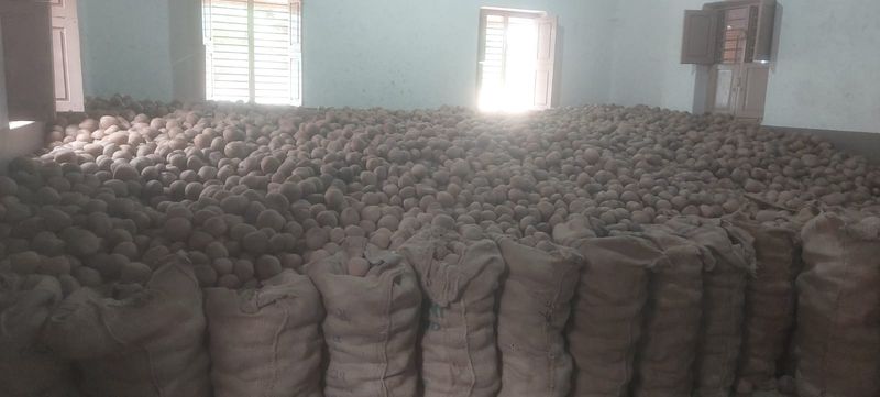 Central state government negligence   Coconut price falls to 8 thousand snr