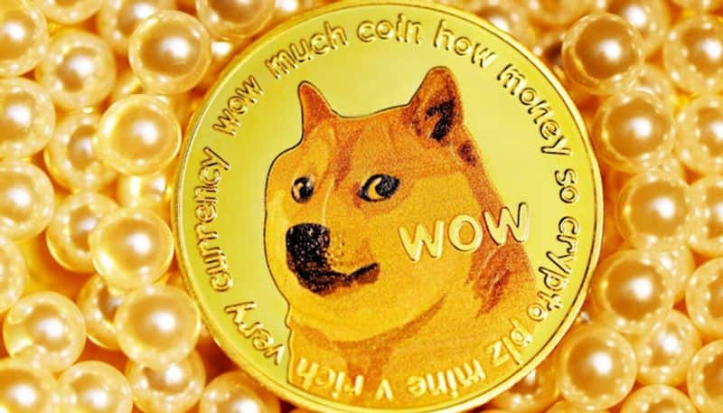 Euler Network Raises $3M to Rattle Shiba Inu and Dogecoin