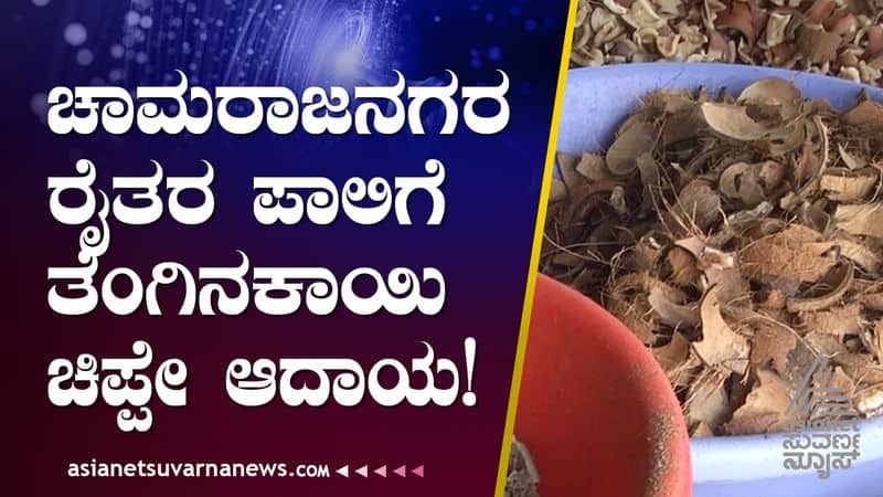 Coconut shell is a source of income for farmers in chamarajanagar gow