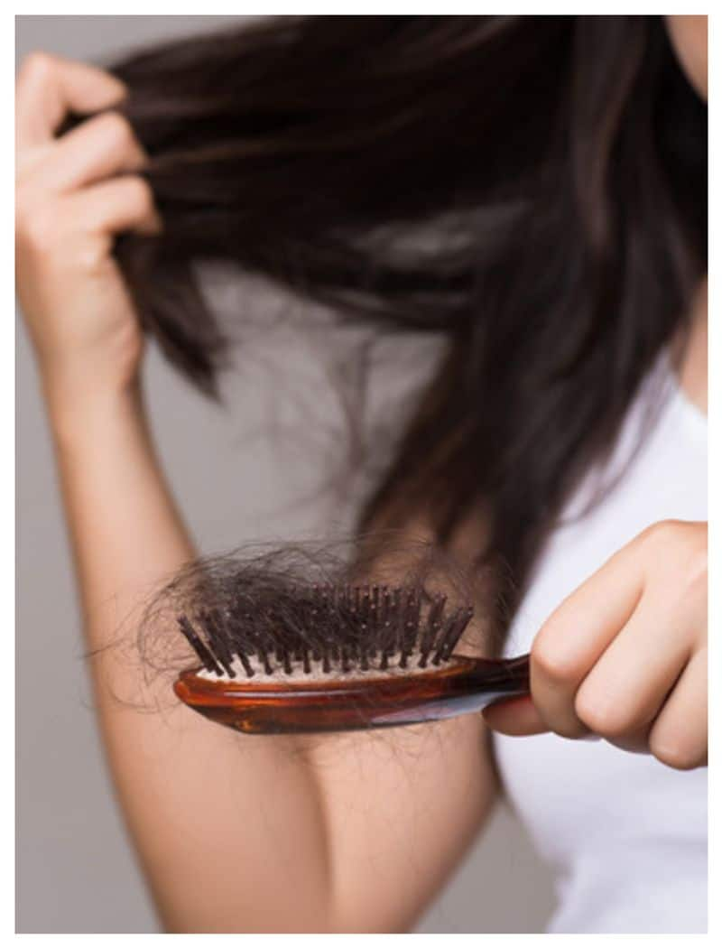 Foods that reduce hair fall rsl