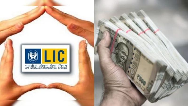 LIC sets record with 6 rupees per share dividend for FY23-24 Govt to get 3,662 crore as majority shareholder