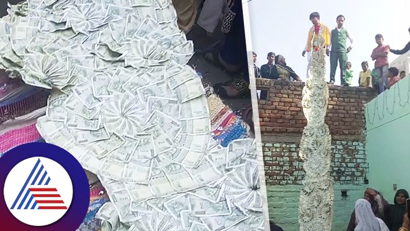 Viral video Groom wear garland of 20 lakh Rupees notes sum