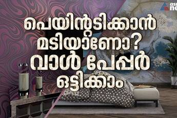 wallpapers for your beautiful home wall 