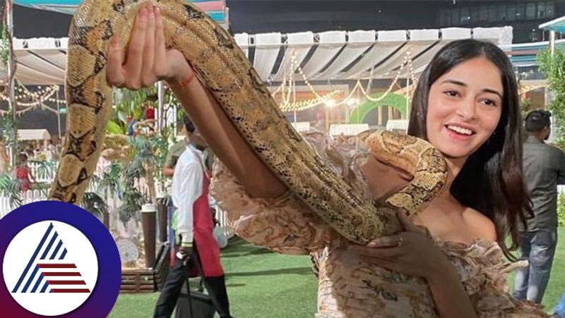 Ananya Panday DELETES Photos With Snakes From  Ambanis Kids Birthday Bash suc