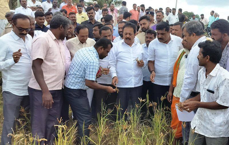 Farmers are reluctant to take crop insurance Says Agriculture Minister N Cheluvarayaswamy gvd