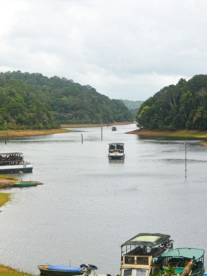 Wayanad
