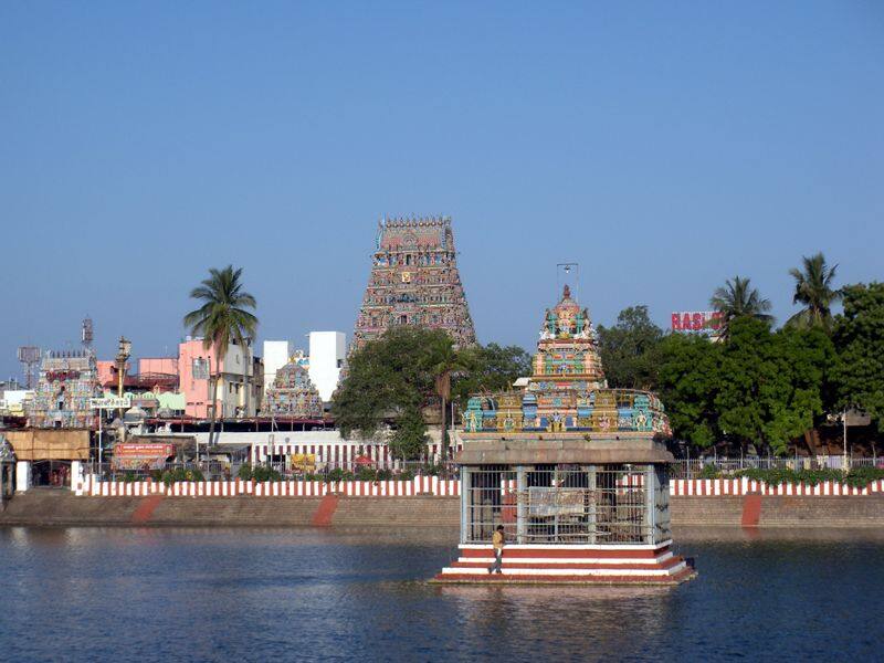 Dead fish floating in Mylapore Kapaleeswarar temple pond sgb