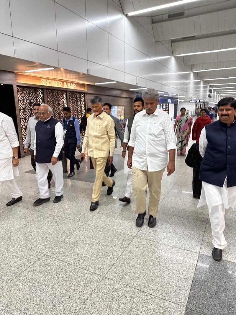 Nara Chandrababu Naidu reaches to new delhi lns