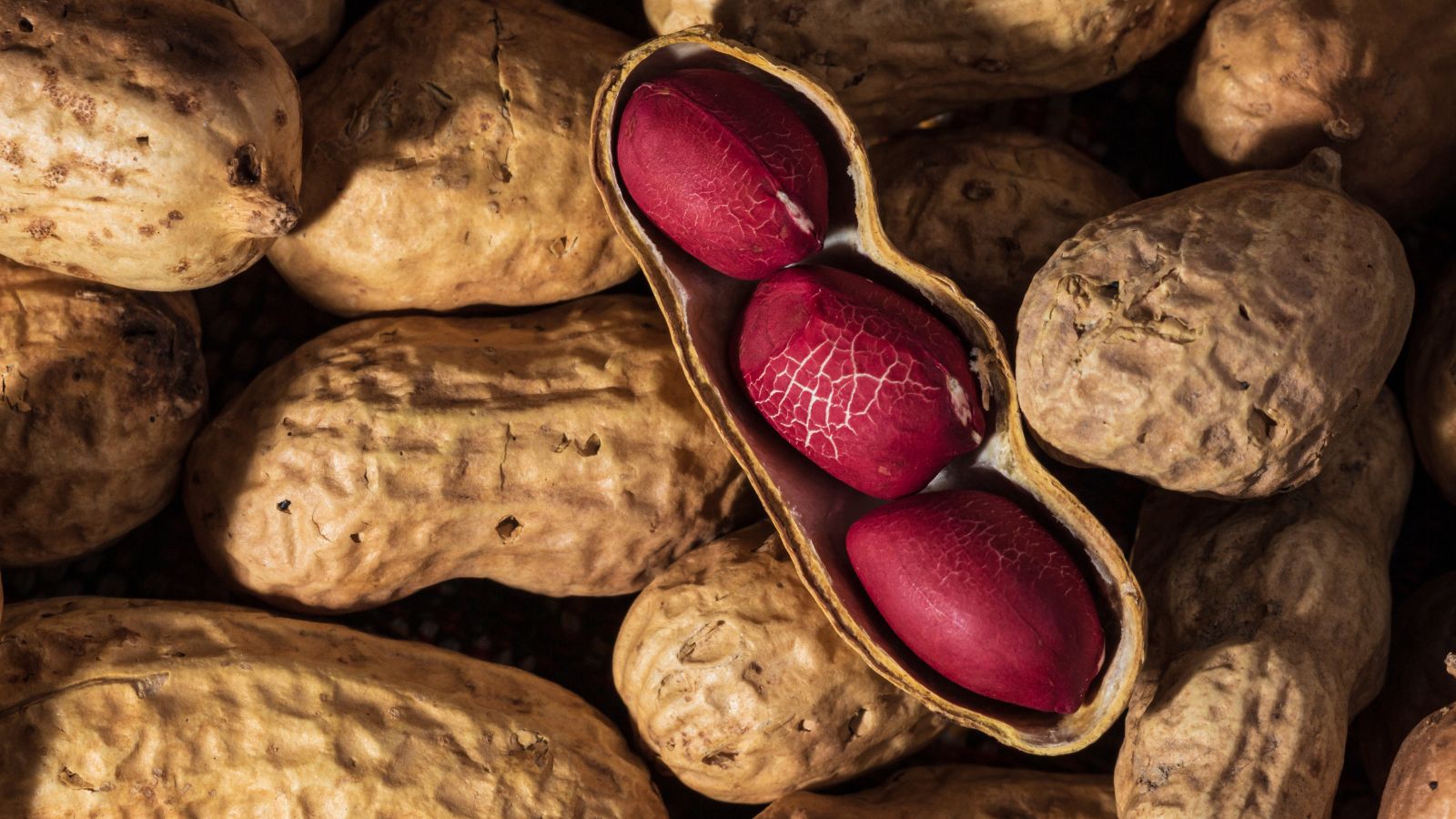  Peanuts Benefits