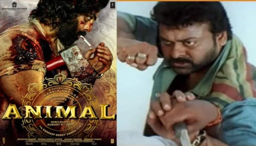  #Animalకు చిరంజీవి ఆ సినిమాకు పోలికా?