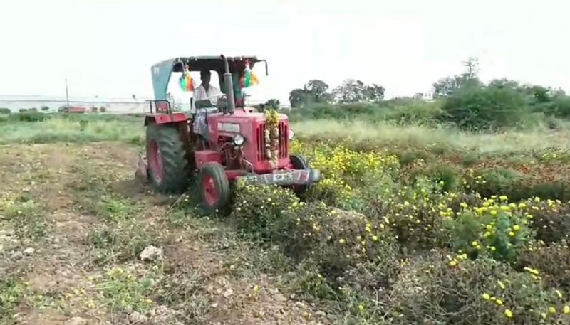 Farmers Faces Problems For Flower Prices Fall in Chitradurga grg 