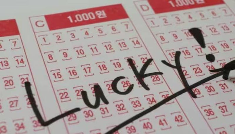 jackpot winner not claimed prize money real lottery for school college students etj