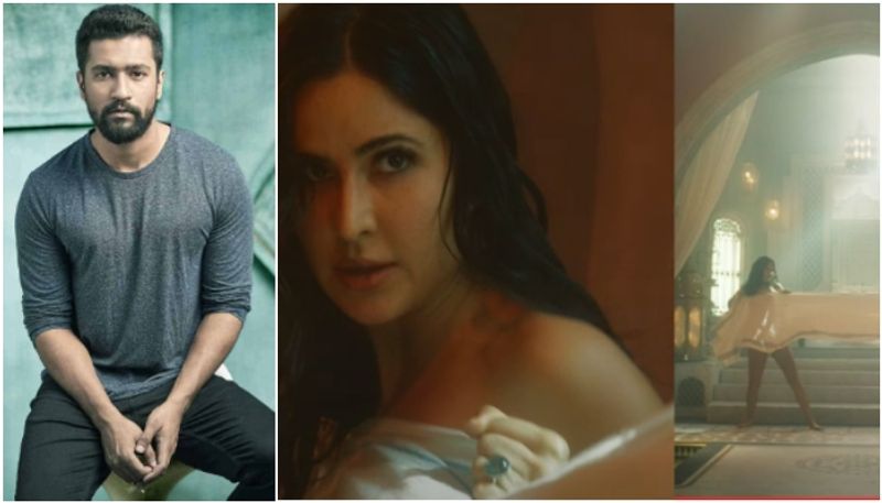 Vicky Kaushal reacts to wife Katrina Kaifs towel fight in Tiger 3 vvk