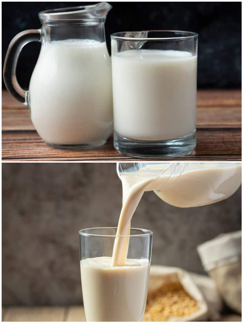 7 foods to avoid combining with milk for better digestion SHG