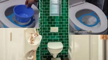 US and UK Based organization Human Microbes paying money for human excreta akb US and UK Based organization Human Microbes paying money for human excreta akb