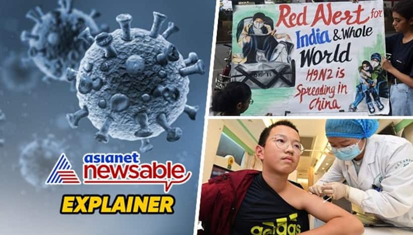 H9N2 avian influenza explained: Causes, symptoms and precautions amid recent outbreaks in China