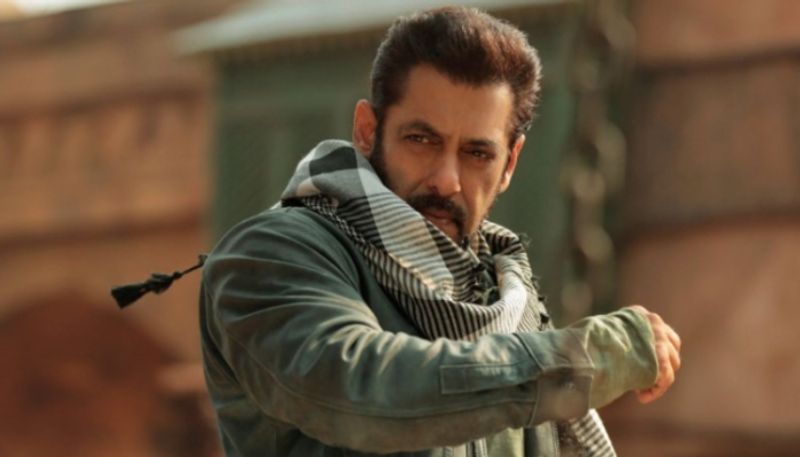 Salman Khan starrer bollywood film Tiger 3 Indian box office collection report out hrk