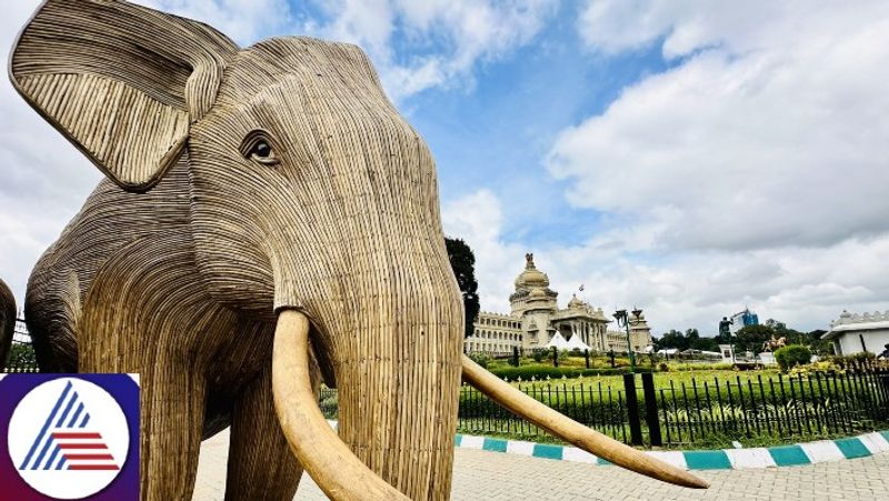 Why 15 elephants made from Lantana trees stand majestically outside Bengaluru's Vidhana Soudha; read this vkp