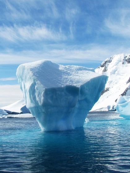 Biodiversity Beneath the Ice
