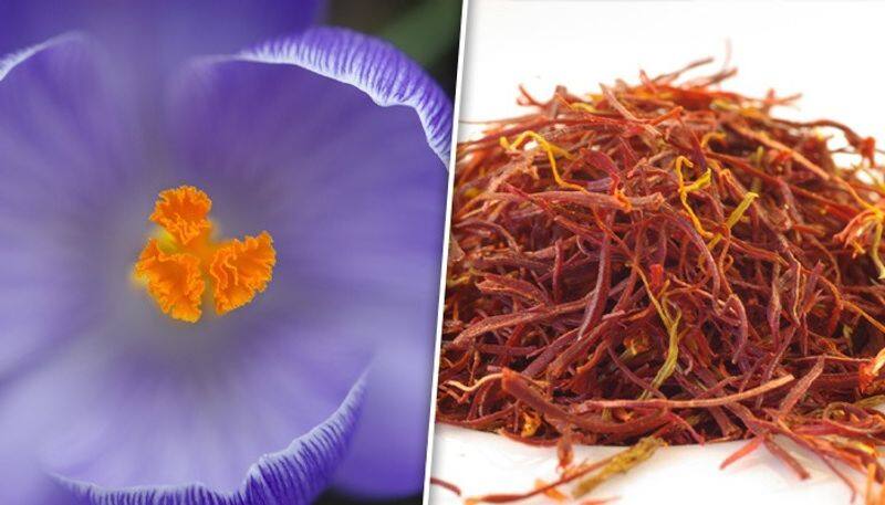 Anti oxidants to Respiratory health: 7 reasons to add Saffron to your Winter diet ATG EAI