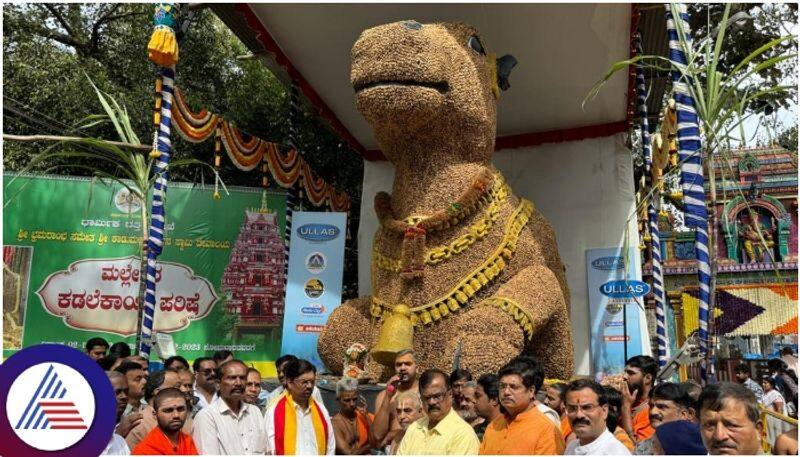 Bengaluru Kadu Malleshwaram Kadalekai Parishe begins grand start three days fair sat