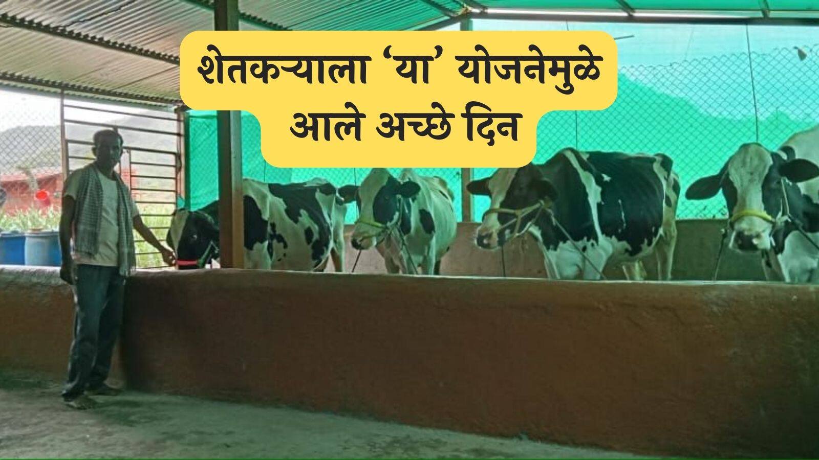 Maharashtra Govt Scheme 