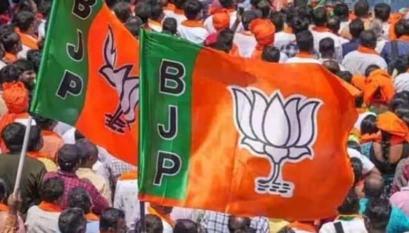 'Congress guarantees did not work...' BJP leaders hail people's mandate in 3 states