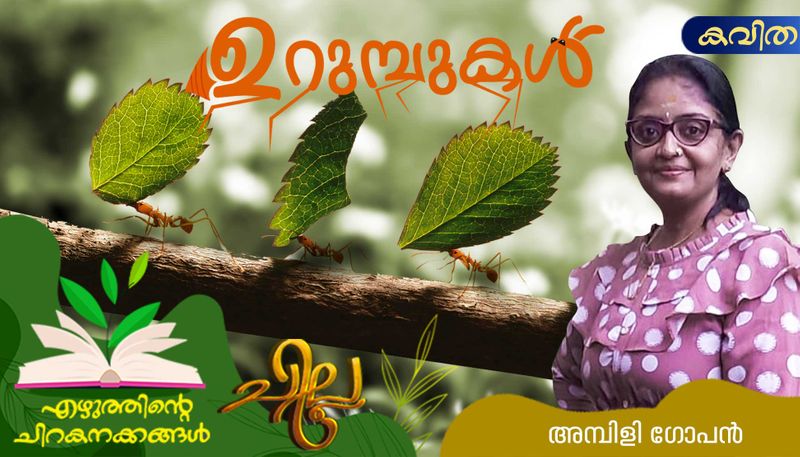 chilla malayalam poem by Ambili Gopan